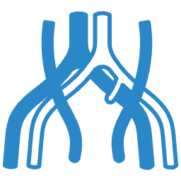 Судинна хірургія